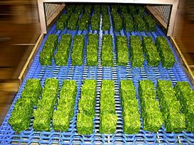 EASYCUBE cubes on conveyor -  frozen spinach herbs vegetables