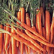 vegetables processing carots